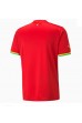 Fotbalové Dres Ghana Venkovní Oblečení MS 2022 Krátký Rukáv